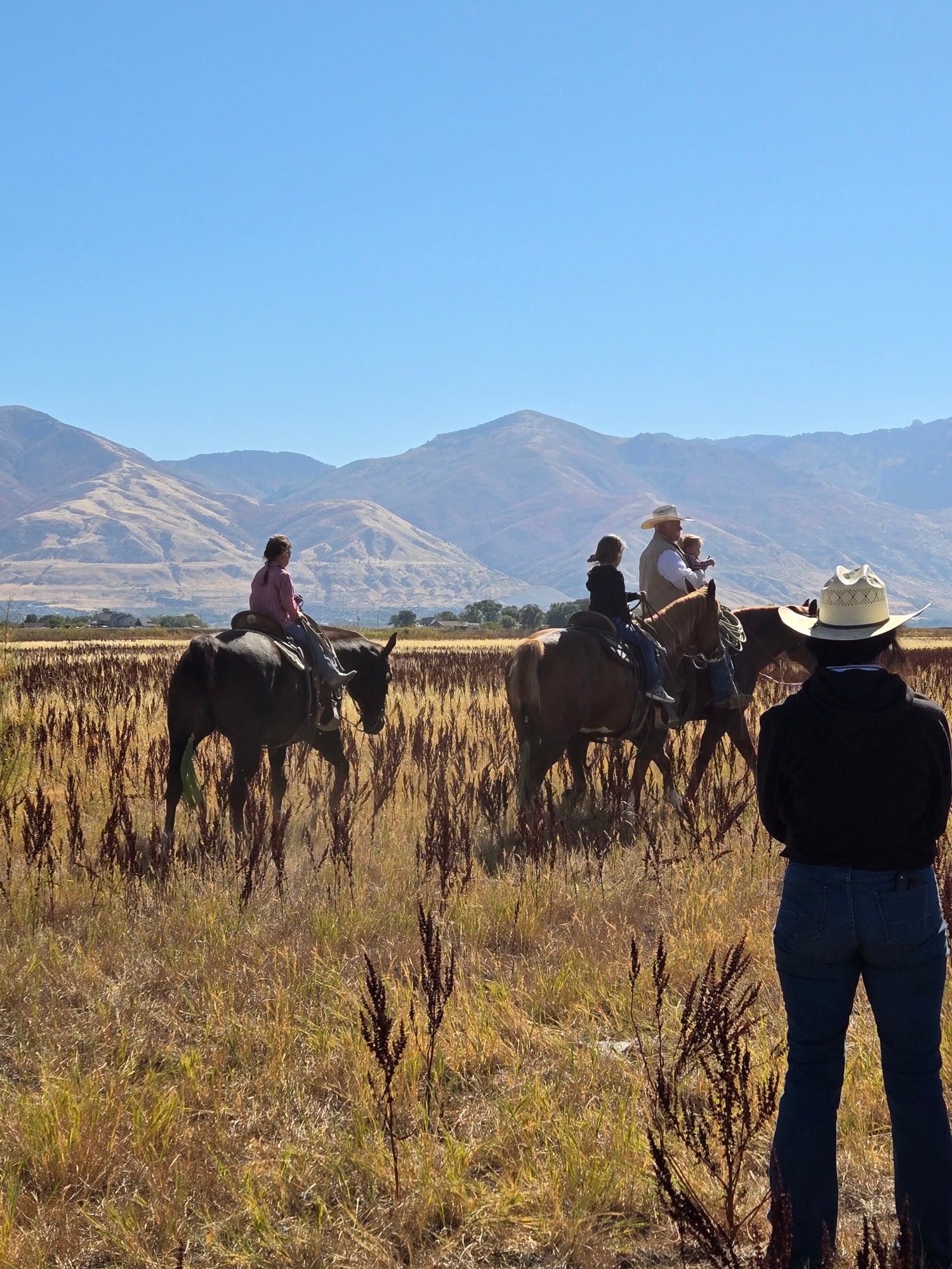 Tallow maker's nieces and dad riding horses in a field with mountains in the background