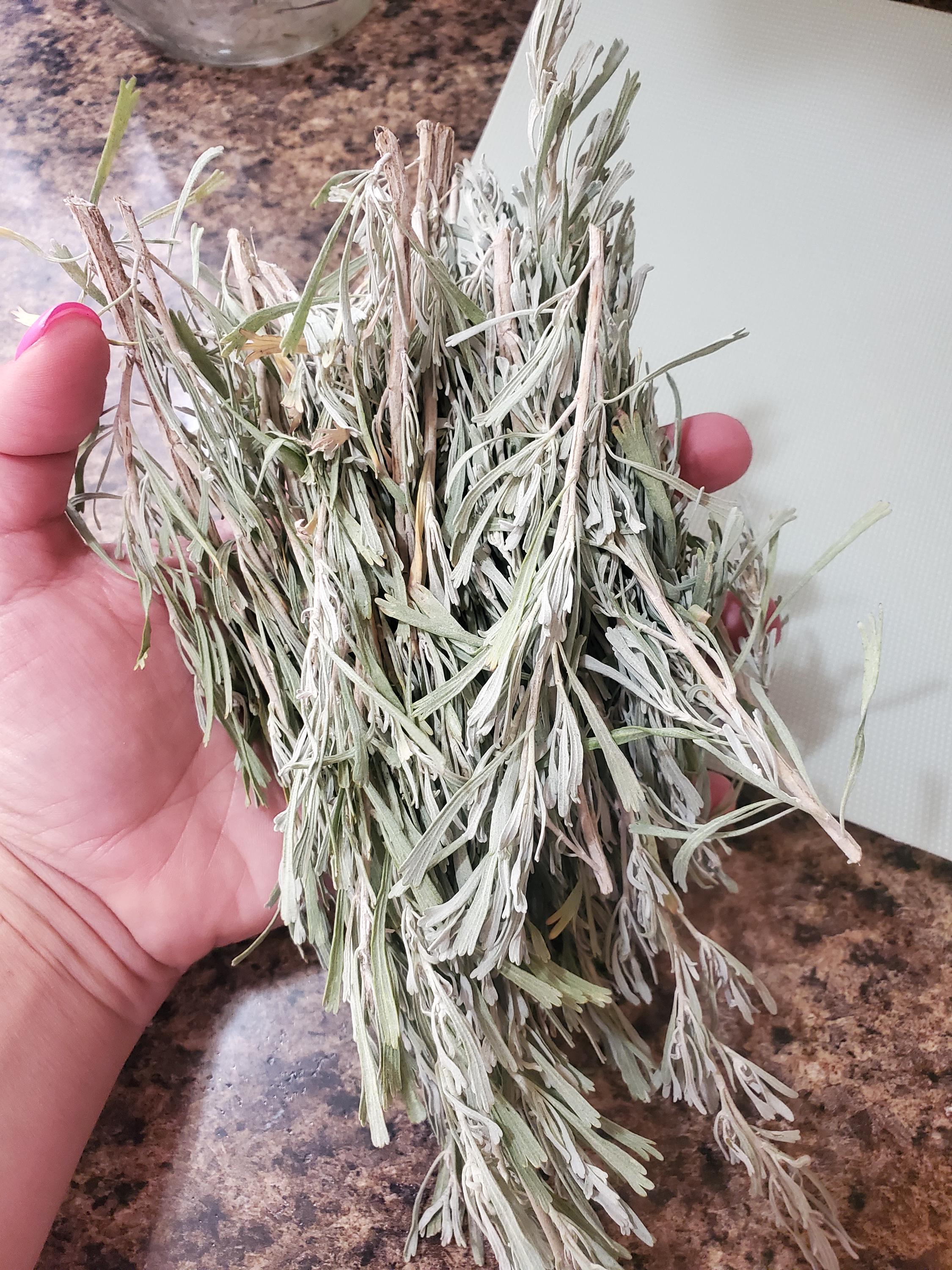 Sagebrush & Eucalyptus Tallow Soap